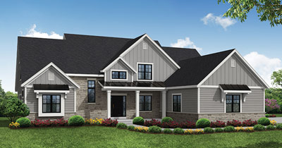 Anderson_Palmetto_20_400x210_small